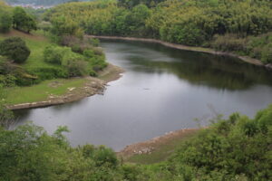 弥栄ダム バス釣りポイント おかっぱり編 Fish Stock